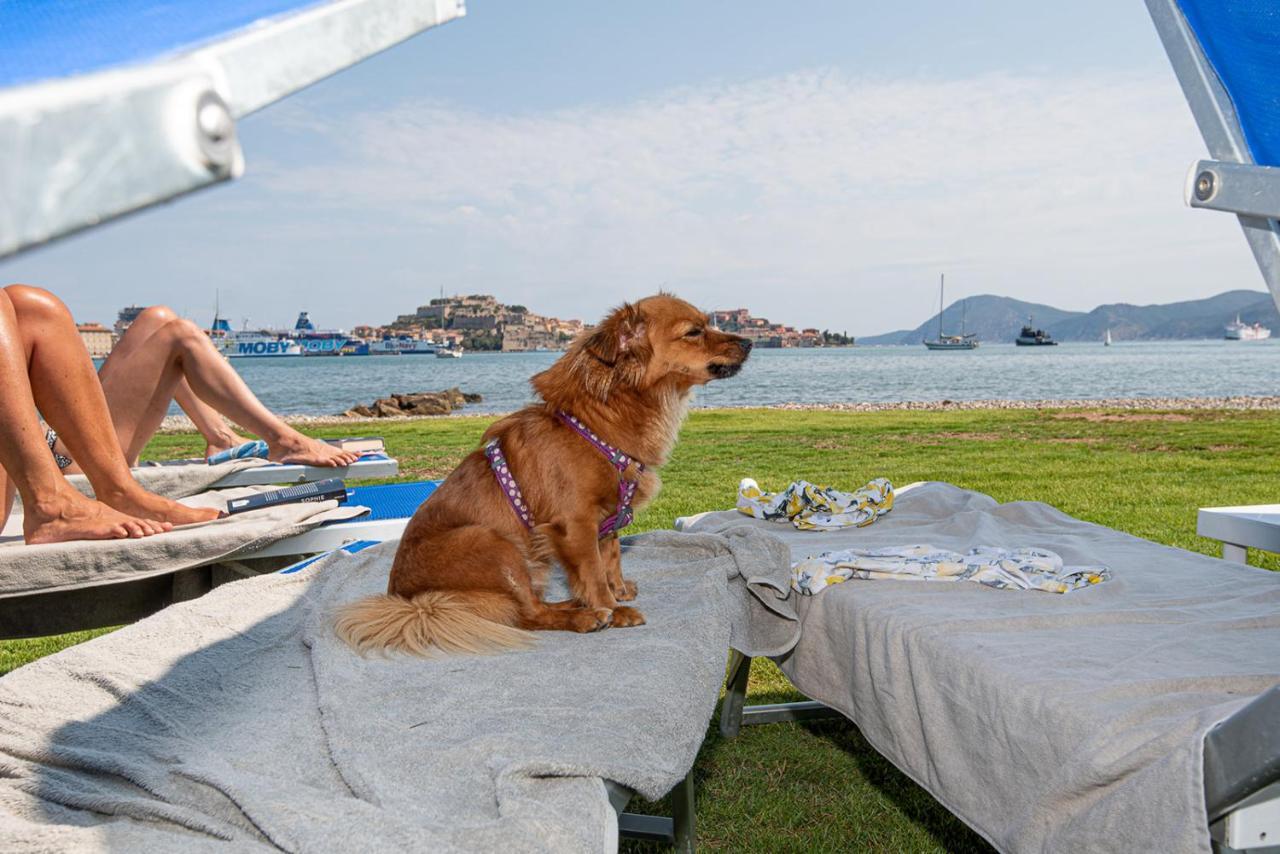 Hotel Airone Isola D'Elba Portoferraio Dış mekan fotoğraf
